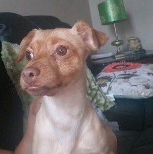 Meet your Posher, Leidy